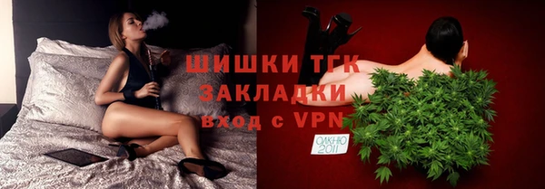 эйфоретик Болотное