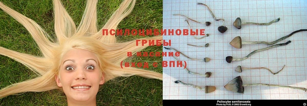 синтетический гашиш Няндома