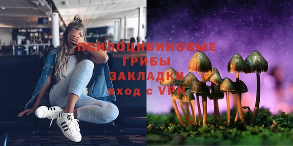 синтетический гашиш Няндома