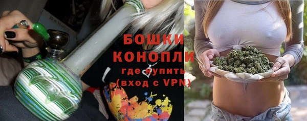 гашик Новодвинск
