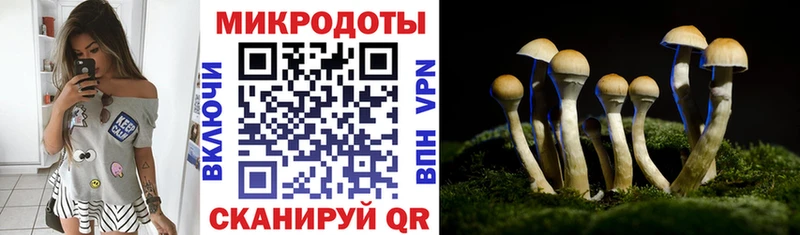 купить наркотики цена Пудож Галлюциногенные грибы MAGIC MUSHROOMS