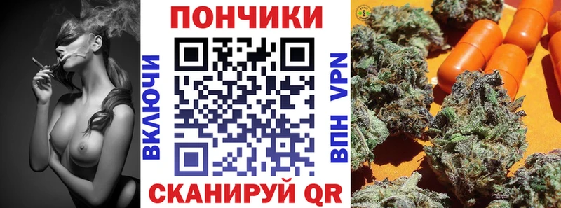 наркотики  Пудож  Каннабис SATIVA & INDICA 